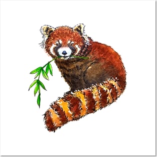 Fuzzy Red Panda Posters and Art